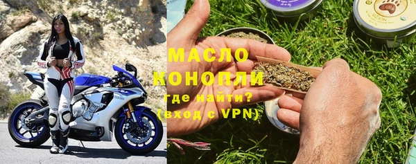 гидра Вяземский