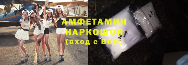 гидра Вяземский