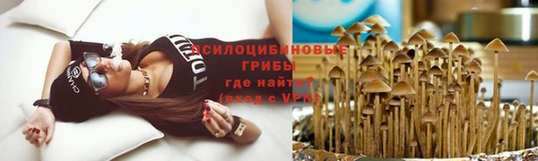 молекула духа Володарск