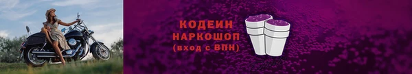индика Вязники