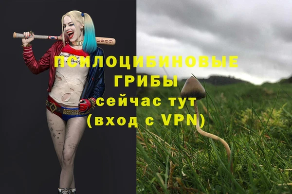 ALPHA-PVP Вязьма