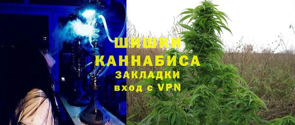 шишки Волоколамск
