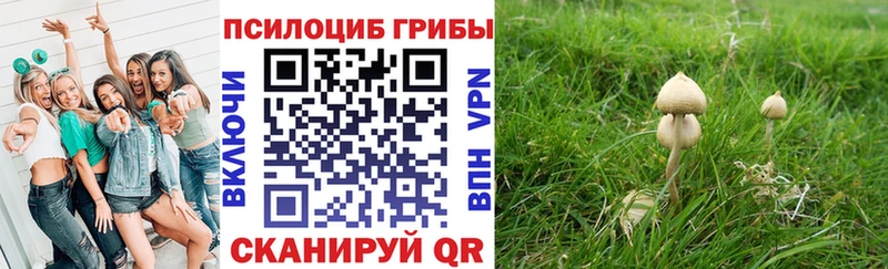 Псилоцибиновые грибы мухоморы  продажа наркотиков  Елизово 